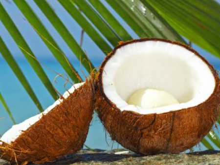 椰子广州进口清关代理,椰子进口清关,椰子清关代理 椰子广州进口清关代理,椰子进口清关,椰子清关代理