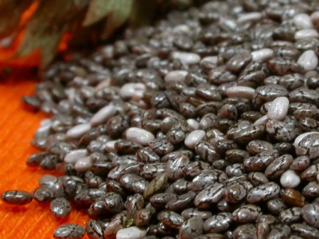 进口奇亚籽代理报关,进口奇亚籽报关代理,进口奇亚籽报关 进口奇亚籽代理报关,进口奇亚籽报关代理,进口奇亚籽报关