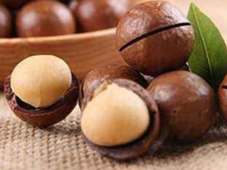 坚果进口机场清关代理,坚果进口机场清关,坚果进口清关代理 坚果进口机场清关代理,坚果进口机场清关,坚果进口清关代理