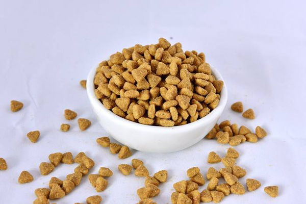 宠物食品 宠物食品