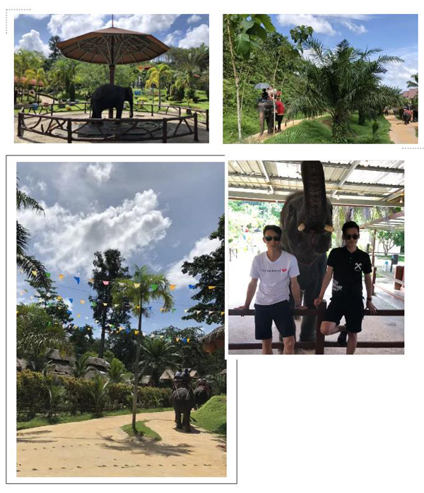 微信截图_20190724142823 微信截图_20190724142823