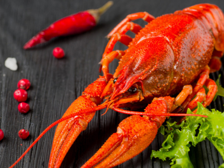3进口龙虾深圳机场代理报关,龙虾机场代理报关,进口龙虾报关 3进口龙虾深圳机场代理报关,龙虾机场代理报关,进口龙虾报关