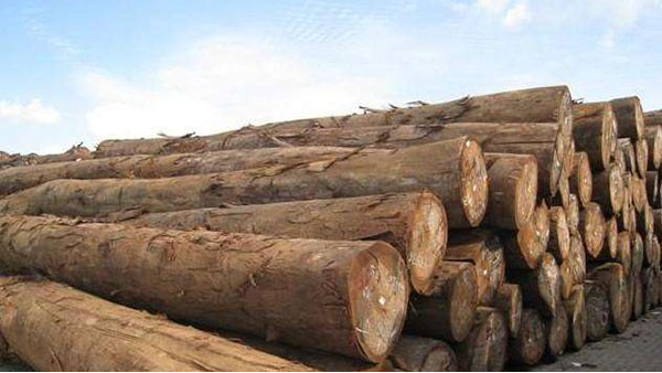 木材进口报关 木材进口报关