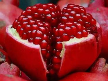 石榴进口 石榴进口