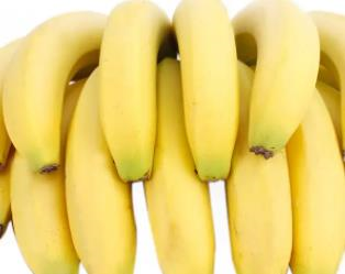 香蕉进口 香蕉进口