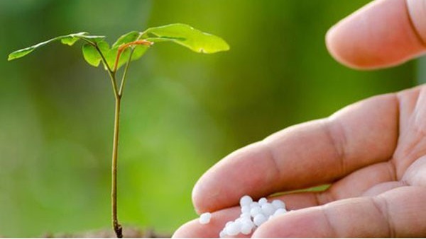 化肥进口报关 化肥进口报关