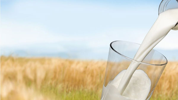 牛奶进口报关 牛奶进口报关