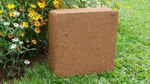 椰糠进口报关 椰糠进口报关