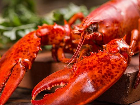 微信截图_20200629113643 微信截图_20200629113643