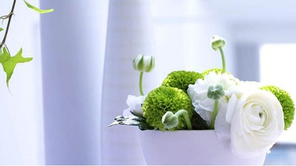 东莞鲜花进口报关代理 东莞鲜花进口报关代理