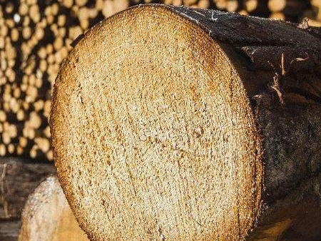 进口木材清关,进口木材清关代理,进口木材清关公司 进口木材清关,进口木材清关代理,进口木材清关公司