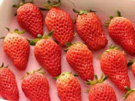 水果进口深圳专业报关公司,水果进口报关公司,水果进口报关 水果进口深圳专业报关公司,水果进口报关公司,水果进口报关