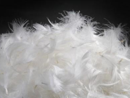 鸭毛进口广州白云机场清关,鸭毛广州机场清关,鸭毛进口机场清关 鸭毛进口广州白云机场清关,鸭毛广州机场清关,鸭毛进口机场清关