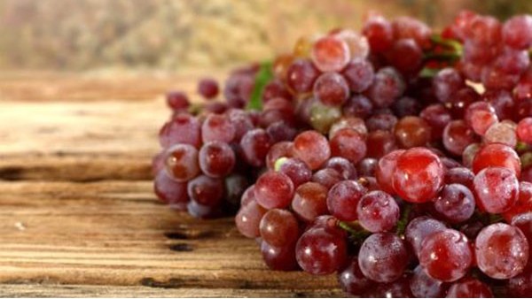 东莞葡萄进口报关代理 东莞葡萄进口报关代理