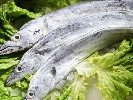 东莞进口食品报关,进口食品报关,带鱼清关 东莞进口食品报关,进口食品报关,带鱼清关