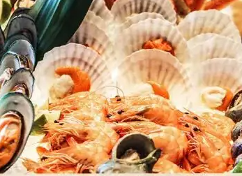 海鲜进口 海鲜进口