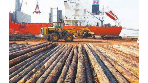 木材检疫 木材检疫