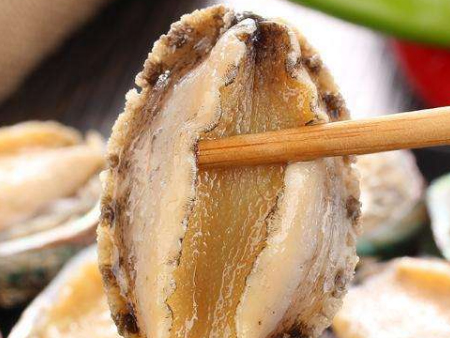 冷冻鲍鱼佛山通关代理,鲍鱼通关代理,冷冻鲍鱼佛山通关 冷冻鲍鱼佛山通关代理,鲍鱼通关代理,冷冻鲍鱼佛山通关