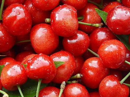 水果进口报关,水果进口报关代理,水果进口报关代理公司 水果进口报关,水果进口报关代理,水果进口报关代理公司