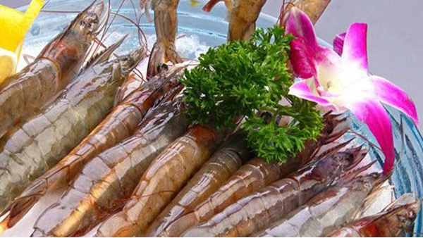 水产品进口报关 水产品进口报关