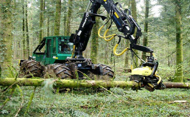 1二手伐木机d 1二手伐木机d