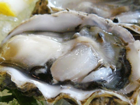 生蚝进口报关,广州清关代理公司,生蚝进口报关流程 生蚝进口报关,广州清关代理公司,生蚝进口报关流程