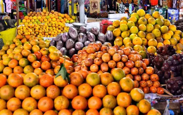 a2fcfea1c566b920ae3ea1f7ed0b799 a2fcfea1c566b920ae3ea1f7ed0b799