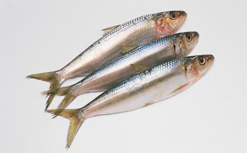 沙丁鱼进口报关 沙丁鱼进口报关