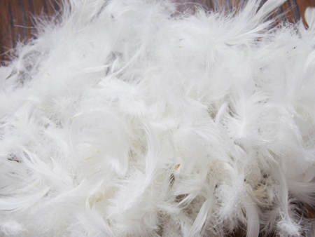 鹅毛广州进口清关,鹅毛进口清关,鹅毛广州清关 鹅毛广州进口清关,鹅毛进口清关,鹅毛广州清关