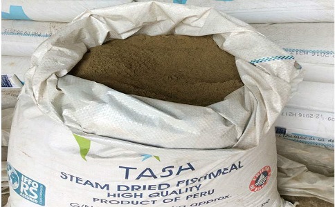 进口鱼粉 进口鱼粉