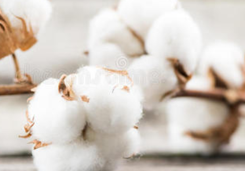 微信截图_20200506114936 微信截图_20200506114936