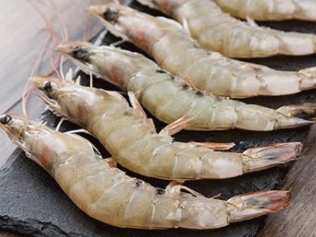 白虾进口空运报关,白虾进口空运报关代理,白虾进口空运报关公司 白虾进口空运报关,白虾进口空运报关代理,白虾进口空运报关公司