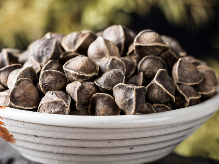 辣木籽深圳进口报关公司,辣木籽报关公司,辣木籽深圳报关 辣木籽深圳进口报关公司,辣木籽报关公司,辣木籽深圳报关