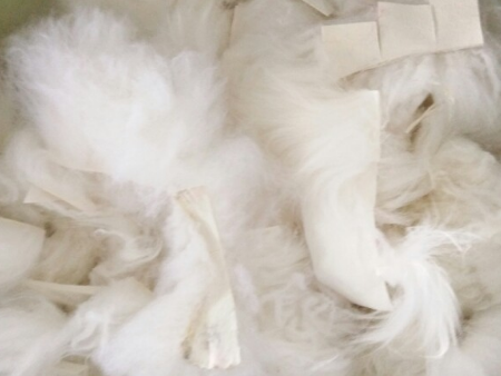 羊毛东莞进口代理清关,羊毛东莞清关,羊毛进口清关 羊毛东莞进口代理清关,羊毛东莞清关,羊毛进口清关