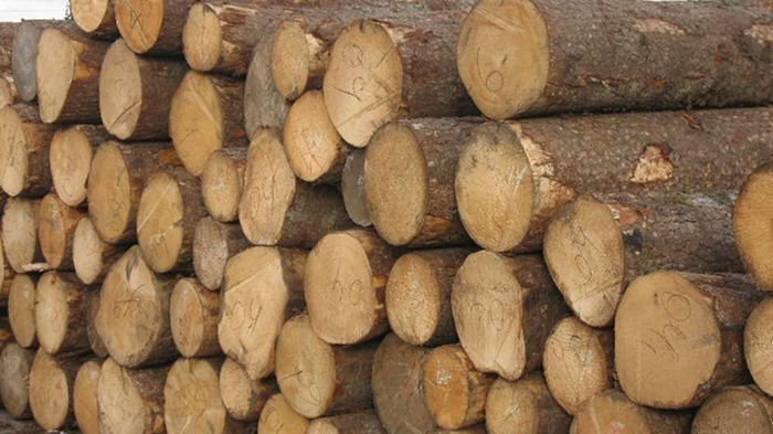 进口木材 进口木材