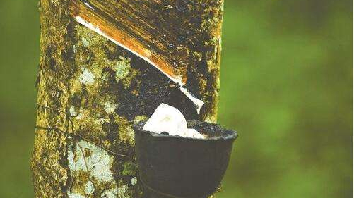 天然橡胶进口报关清关 天然橡胶进口报关清关