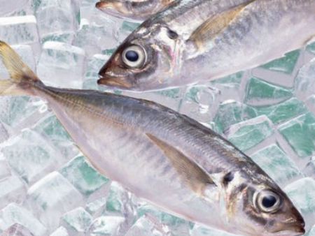 冷冻鱼东莞进口报关代理,冷冻鱼报关代理,冷冻鱼进口报关 冷冻鱼东莞进口报关代理,冷冻鱼报关代理,冷冻鱼进口报关