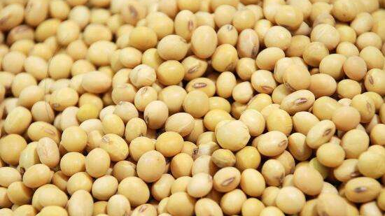 农产品进口 农产品进口