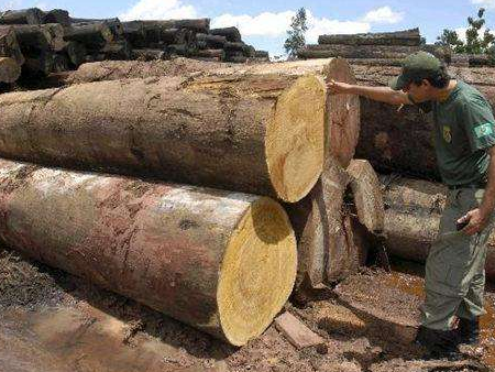 微信截图_20200715113702 微信截图_20200715113702