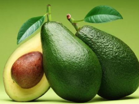 鳄梨进口机场代理报关,鳄梨进口机场报关,鳄梨进口报关 鳄梨进口机场代理报关,鳄梨进口机场报关,鳄梨进口报关