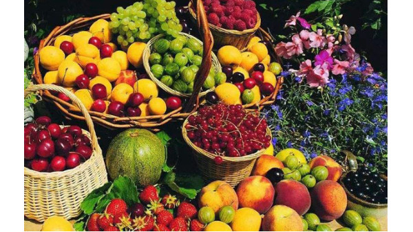 水果进口 水果进口