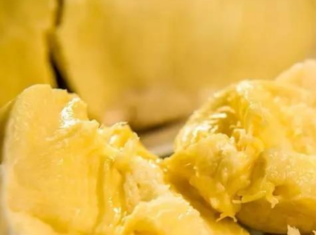 榴莲机场进口报关代理公司,榴莲机场进口报关,榴莲进口报关代理公司 榴莲机场进口报关代理公司,榴莲机场进口报关,榴莲进口报关代理公司