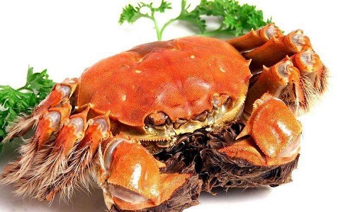 青岛水产品进口报关公司 青岛水产品进口报关公司