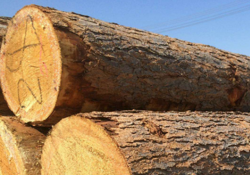 微信截图_20200423173707 微信截图_20200423173707