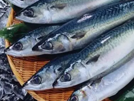 冷冻水产品深圳湾口岸报关,深圳报关,水产品报关 冷冻水产品深圳湾口岸报关,深圳报关,水产品报关