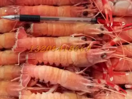 进口冷冻虾佛山清关,冷冻虾佛山清关时间,冷冻虾清关 进口冷冻虾佛山清关,冷冻虾佛山清关时间,冷冻虾清关