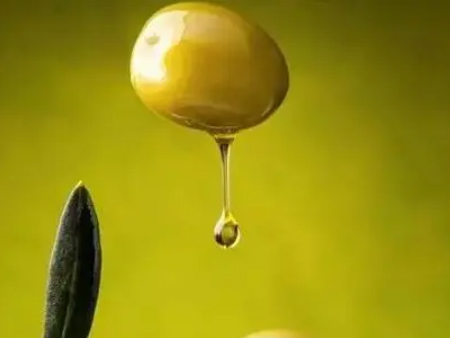 橄榄油进口皇岗口岸报关,橄榄油进口报关,橄榄油皇岗报关 橄榄油进口皇岗口岸报关,橄榄油进口报关,橄榄油皇岗报关