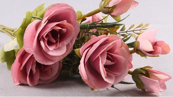 东莞鲜花进口报关代理 东莞鲜花进口报关代理