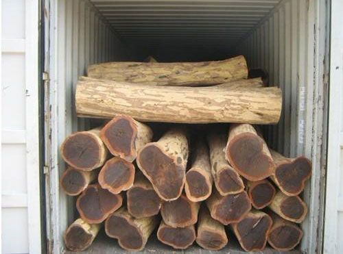 2016062858614721 2016062858614721