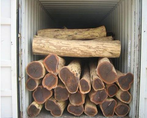 2016080455257561 2016080455257561